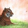 Тигр на траве