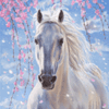 Аватарка - Белый конь