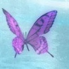 Фиолетовая бабочка