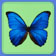 Аватарка - Синяя бабочка