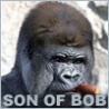 Son of Bob