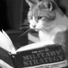 Аватарка - Кошка читает