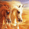 Аватарка - Белогривые лошадки