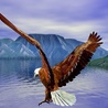 Орел над озером