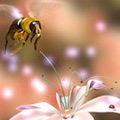 Аватарка - Пчела