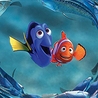 Finding Nemo