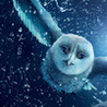 Легенды ночных стражей (Legend of the Guardians: The Owls of Ga'Hoole)