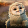 Легенды ночных стражей  (Legend of the Guardians: The Owls of Ga’Hoole)