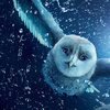Легенды ночных стражей (Legend of the Guardians: The Owls of Ga'Hoole)