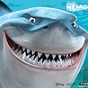 Finding Nemo