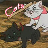 Коты-Аристократы