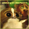 Мадагаскар