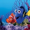 Finding Nemo