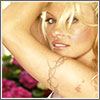 Аватарка - Pamela Anderson