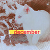 Декабрь (Кот)