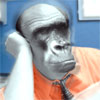 Аватарка - Человек - обезьяна