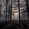 Аватарка - Темный лес