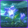 Аватарка - Волшебные цветы