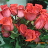 Аватарка - Букет роз