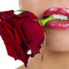 Аватарка - Роза в зубах (Роза в зубах)