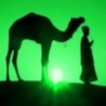Верблюд и зеленое солнце