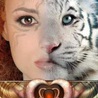 Аватарка - Девушка- тигрица
