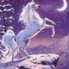 Аватарка - Белая лошадь