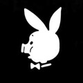 Playboy