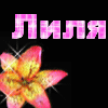 Лиля прикольные картинки