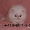 Я ненавижу всё!