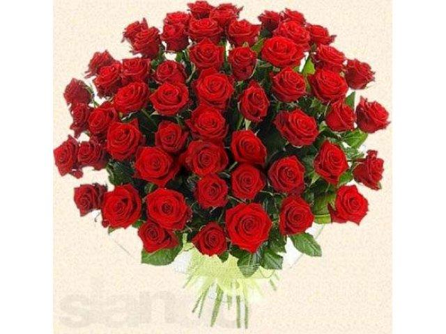 https://kak2z.ru/my_img/img/2015/08/10/dcab8.jpg