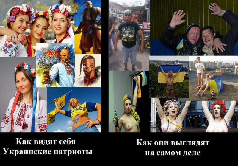 https://kak2z.ru/my_img/img/2015/09/09/f6436.jpg