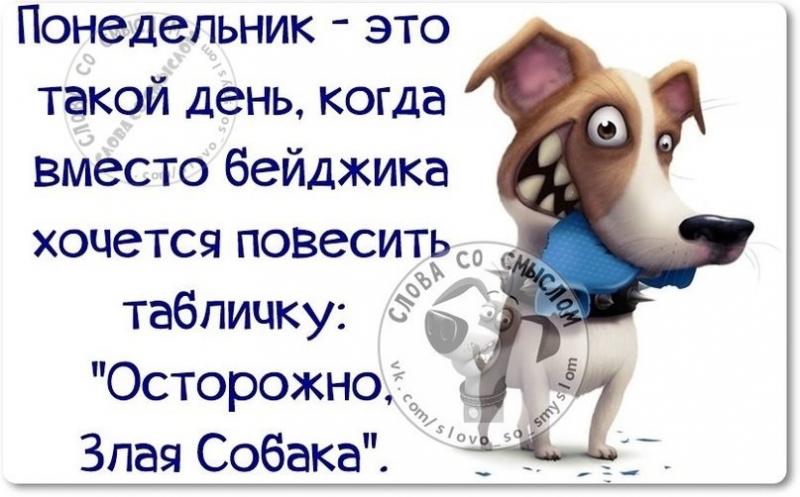 открытки с понедельником. открытки с понедельником прикольные. статусы про понедельник. понедельник юмор. анекдоты про понедельник в картинках.