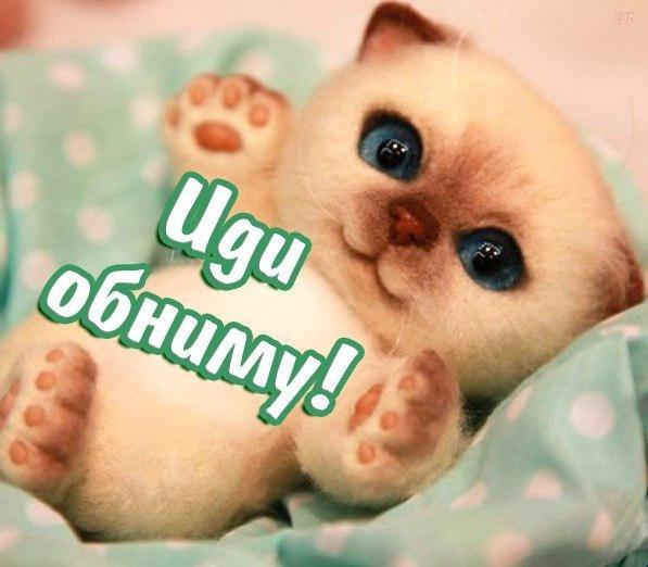 Открытка дай я тебя обниму тебя, мир видео
