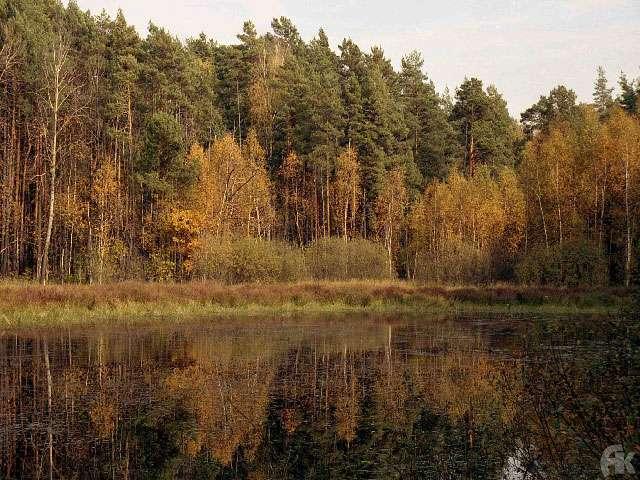 Приокский берег