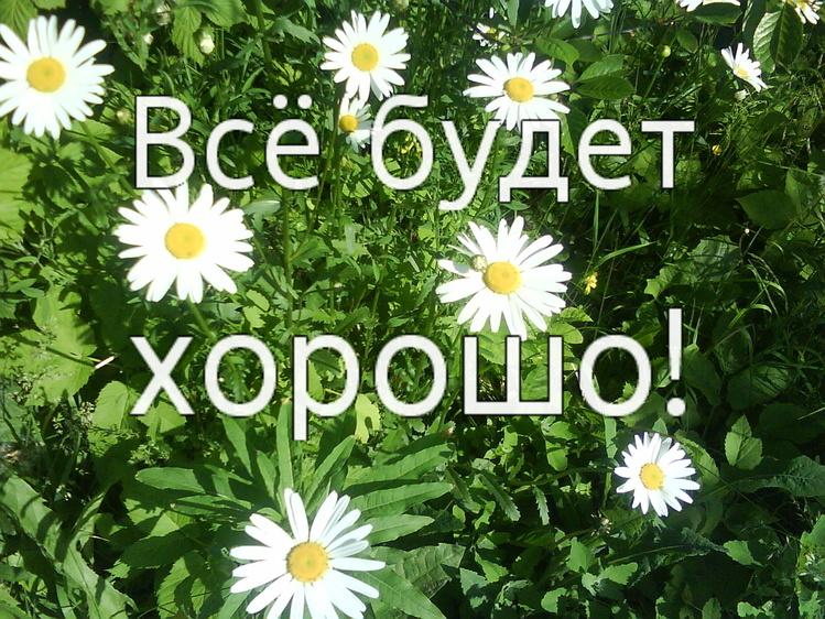 http://kak2z.ru/my_img/img/2015/12/04/7ed7d.jpg