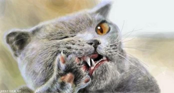 ������� �������� ��� ���, ��� ���������� ��������