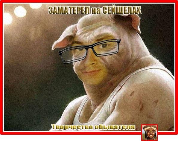 Заматерел значение слова. Обиженный котенок. Заматерел. Заматерелый. Заматерел.