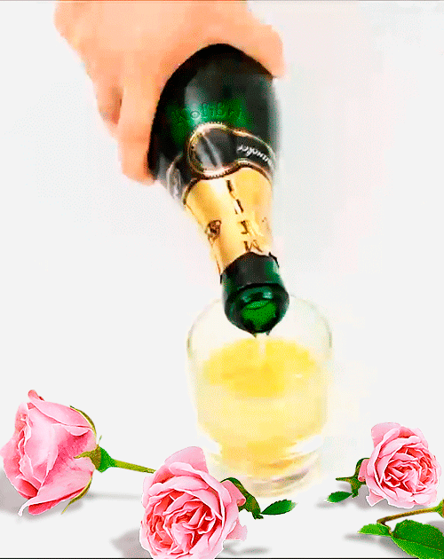 Вино татьянин день. Бутылка шампанского. С днём рождения шампанское. Бутылка шампанского анимация. С днем рождения анимация шампанское.