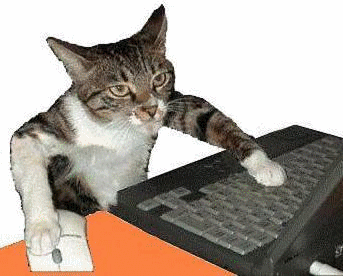 Двигающаяся открытка котик