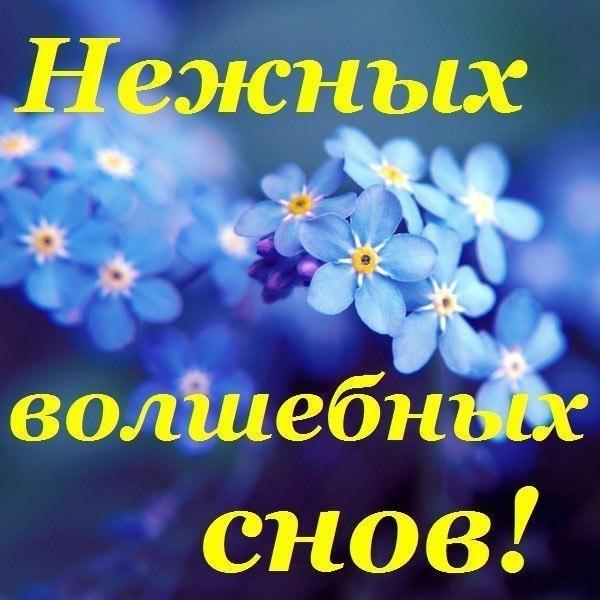 https://kak2z.ru/my_img/img/2016/01/25/02073.jpg