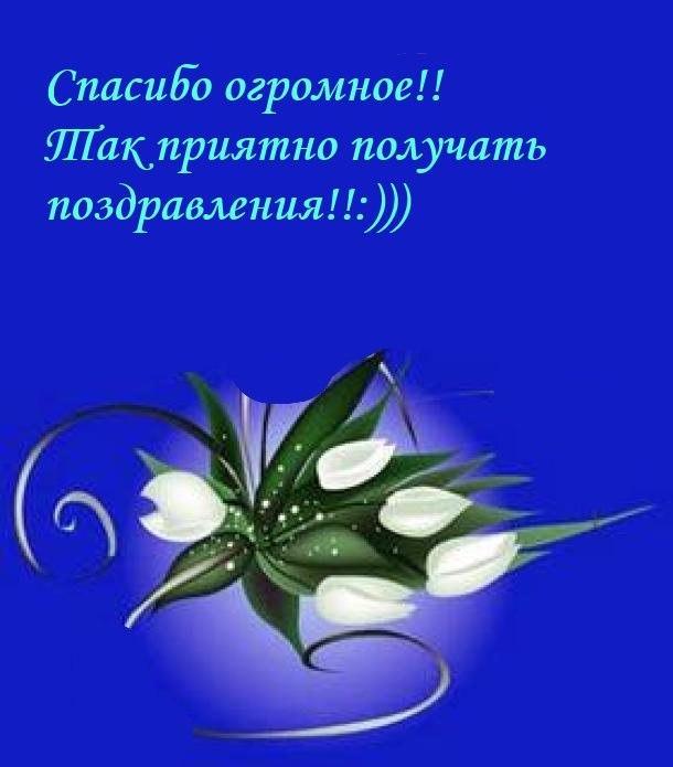 Картинка спасибо за поздравления и подарок, картинки