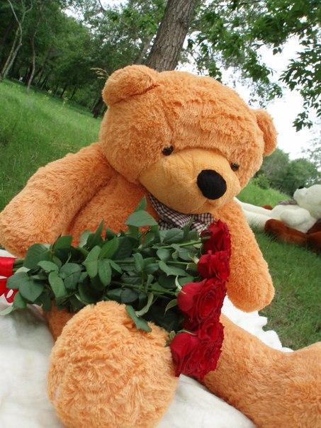 Картинки мишки с цветами и шарами