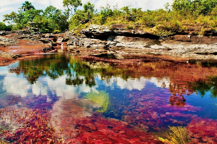 Цветные реки