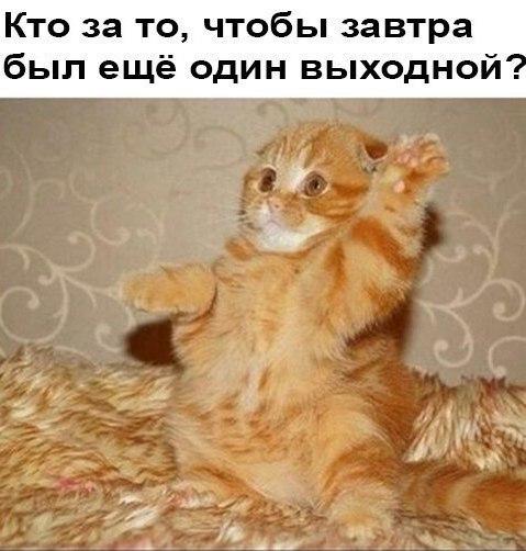 https://kak2z.ru/my_img/img/2016/04/04/11d28.jpg