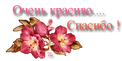 Picture background