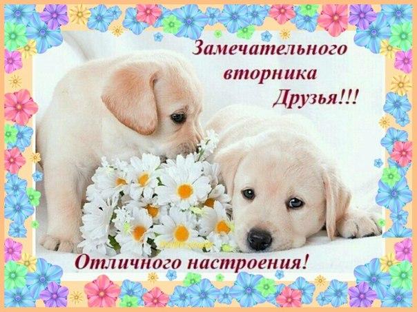 Вторник Замечательный День Картинки