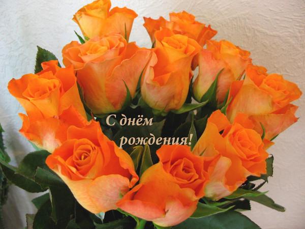 С днем рождения лелю открытки, картинки рыбок