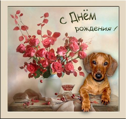 Поздравления с днём рождения с таксой