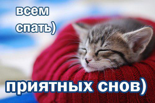 Открытка февраля, открытка ушла спать